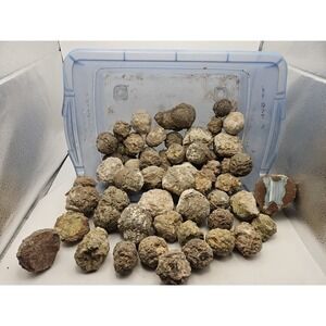 Unopened Geodes/Agates/Nodules Natural Semi Solid approx 3-10ozPlease Read Notes
